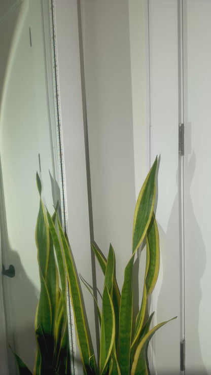 Crystal Side Tie Thong - Light Blue