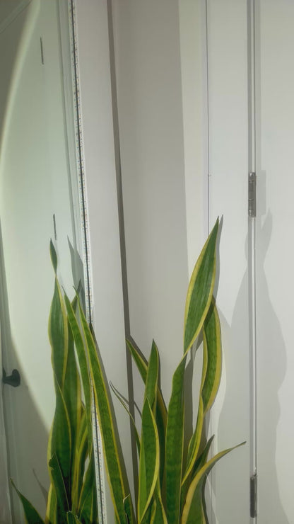 Crystal Side Tie Thong - Cobalt